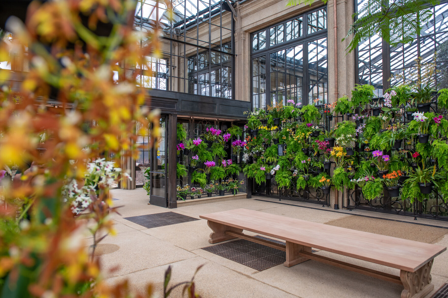 House of Orchids Longwood Gardens